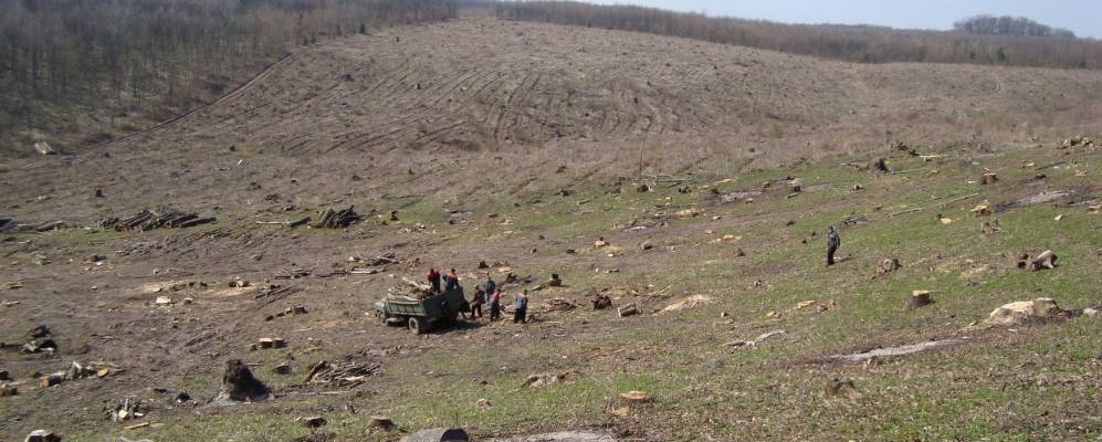 
            Фотография Новоукраинки