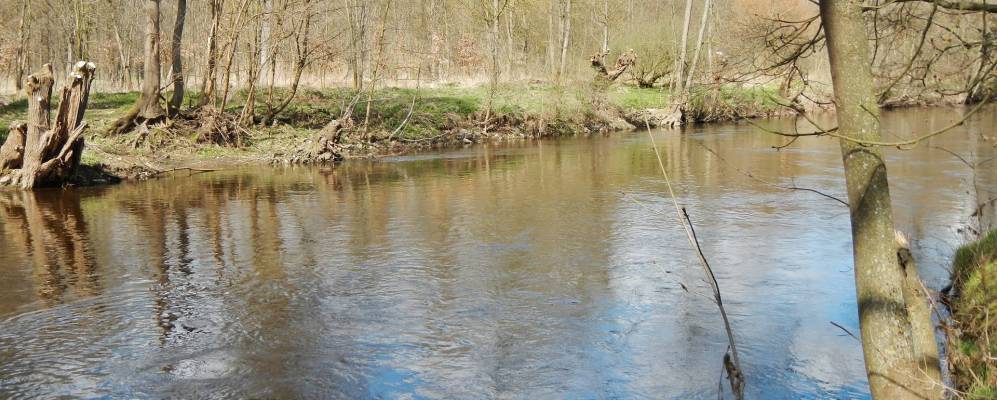 
            Фотография Оберриксингена