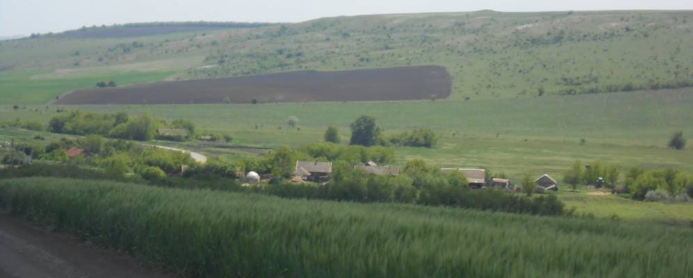 
            Фотография Гребенюков