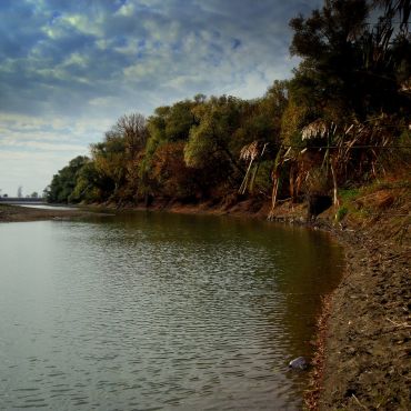 Марьянская