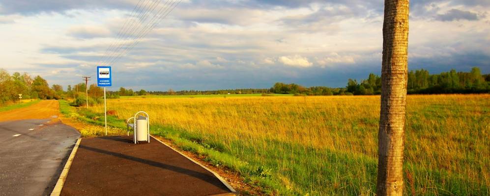 
            Фотография Аташиены