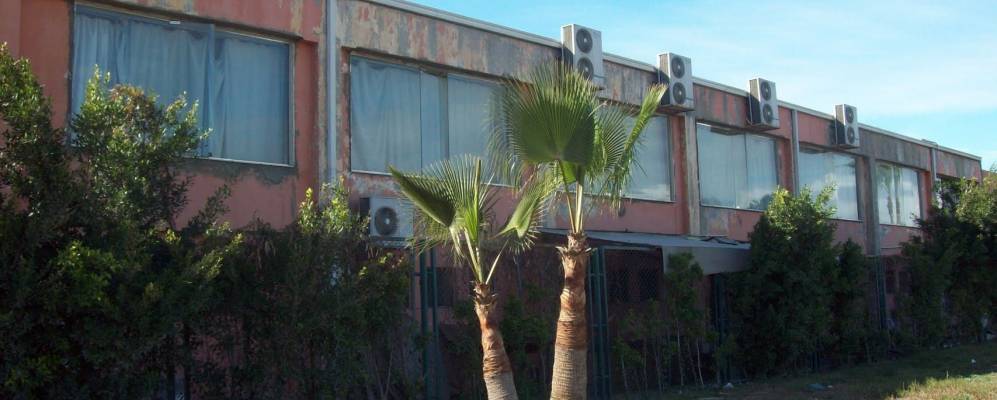 
            Фотография Зифты