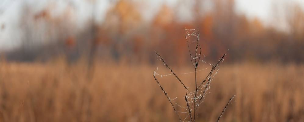 Фотография Думановщины