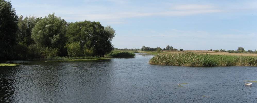 
            Фотография Владимировки
