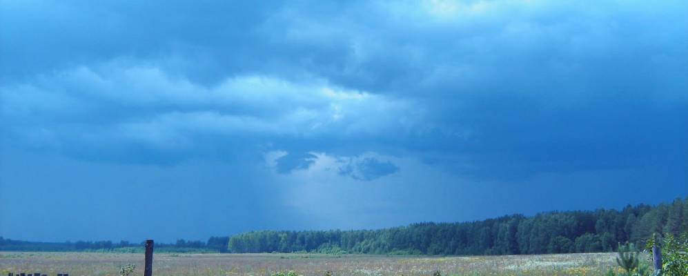 
            Фотография Грибково