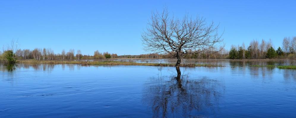 
            Фотография Парахино