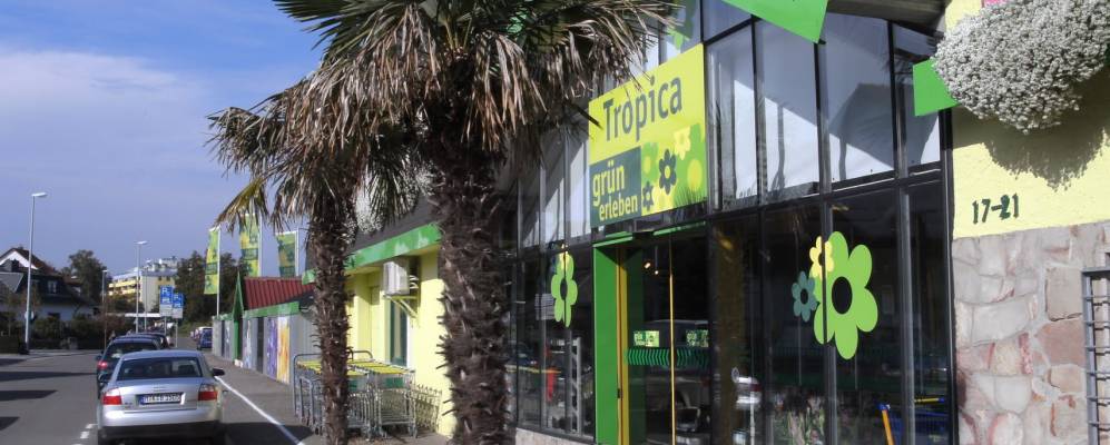 Фотография Крифтель