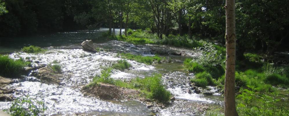 
            Фотография Клапье