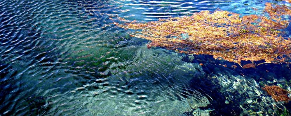 
            Фотография Броккостелы