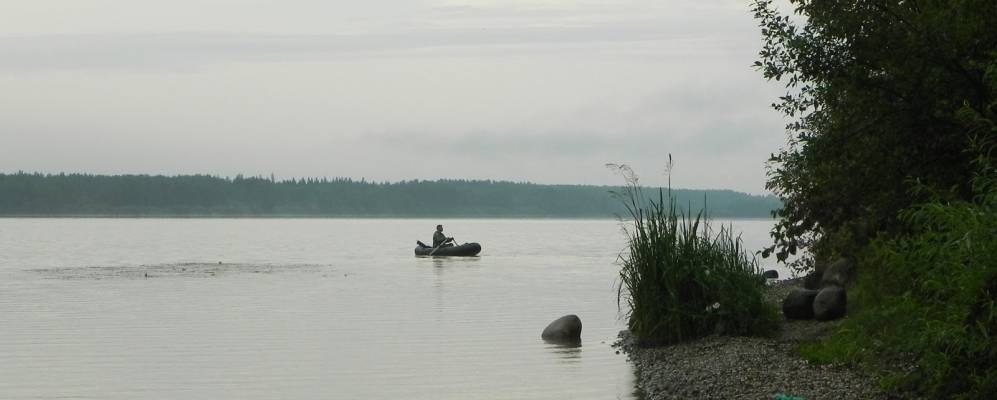 
            Фотография Кузьминки