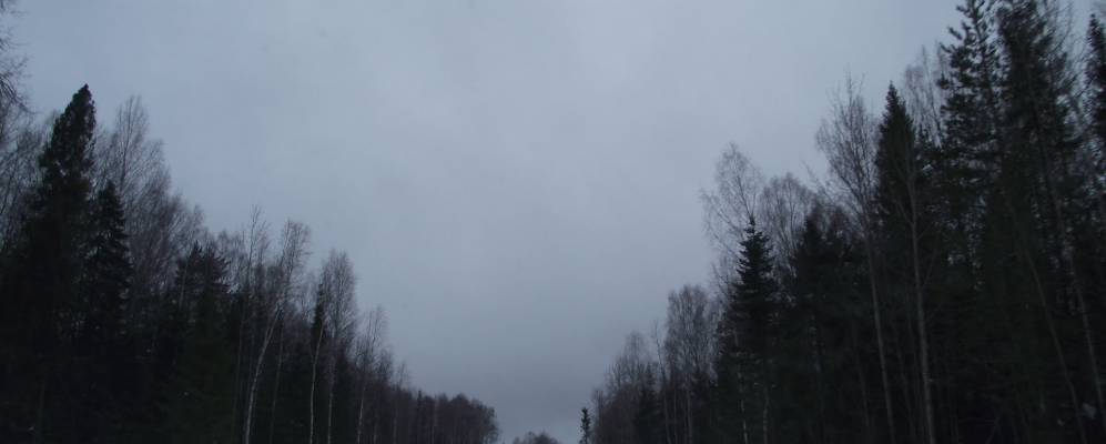 
            Фотография Веселок