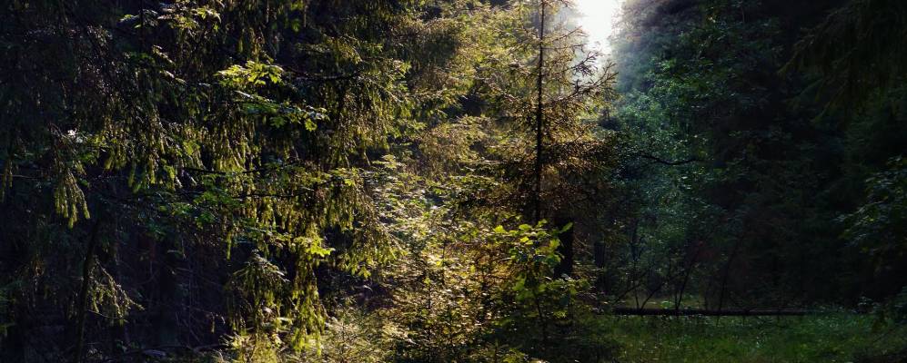 
            Фотография Гладышево