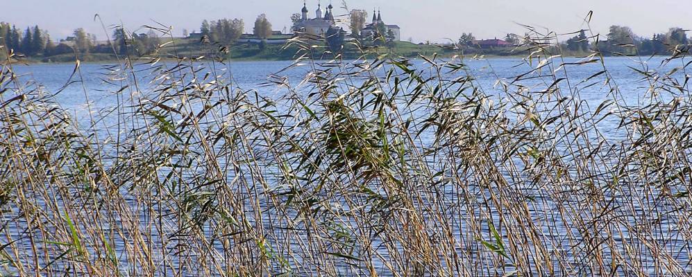 
            Фотография Шишкино