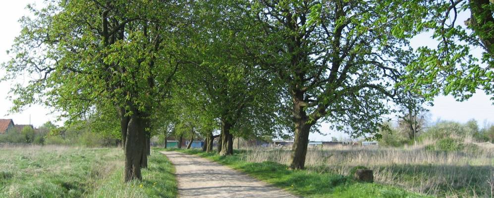 
            Фотография Обухово