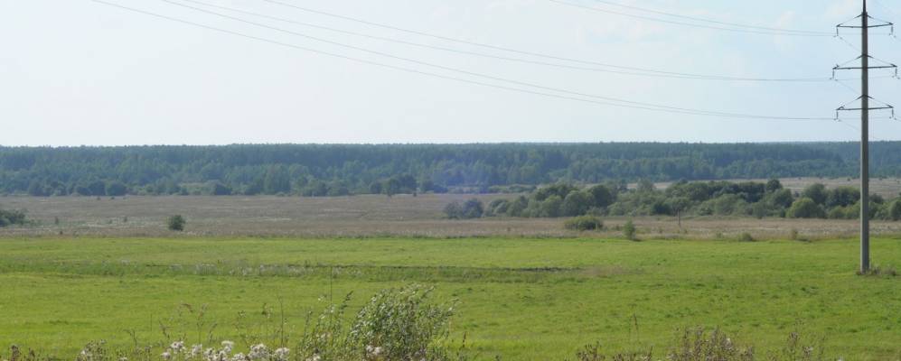 
            Фотография Козлихи