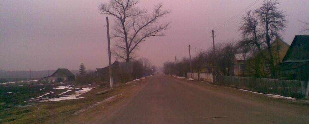 Фотография Новоделя