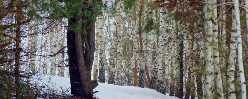 
            Фотография Трухачëвки