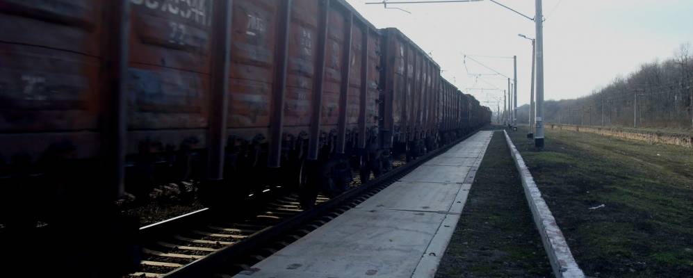 
            Фотография Зоряного