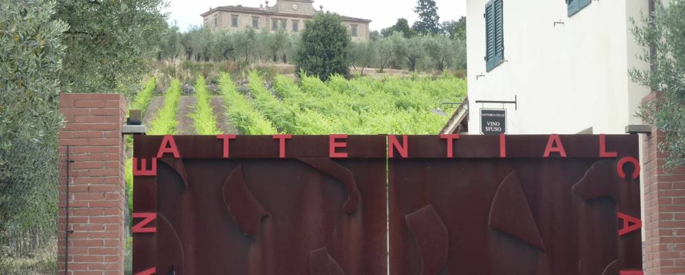 
            Фотография Сантомато