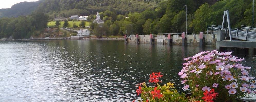 
            Фотография Лавика