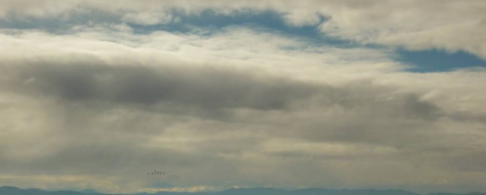 Фотография Гальоканта