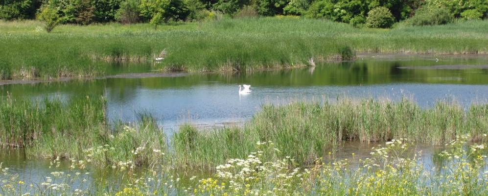
            Фотография Якубовки