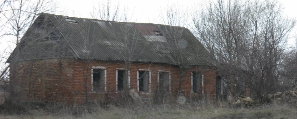 Фотография Больших Хомяков