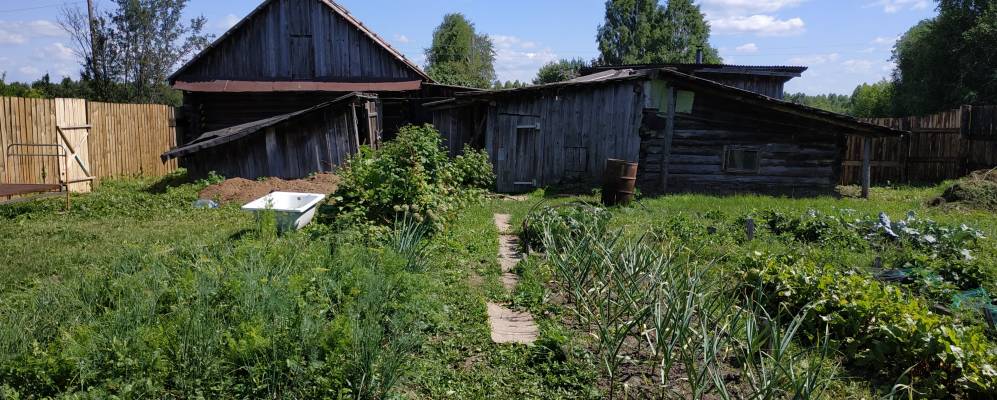 
            Фотография Покровского