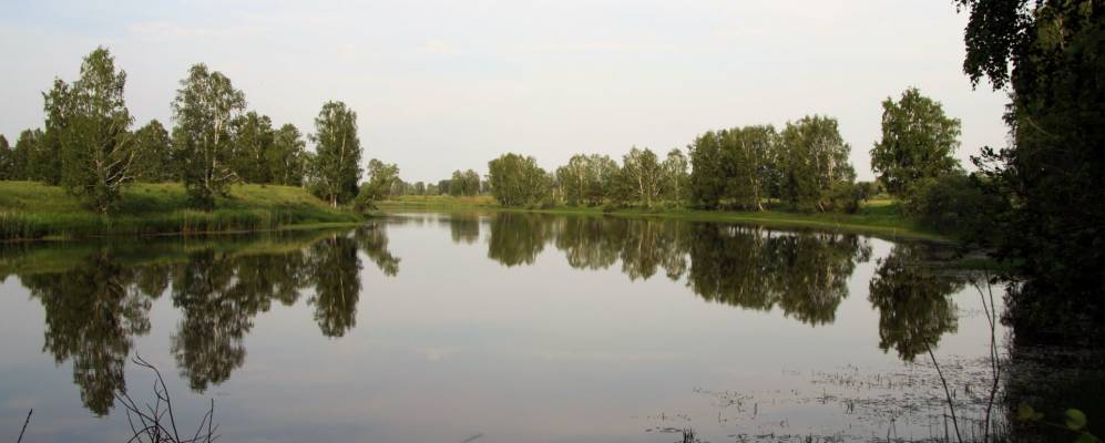 Фотография Атеринок