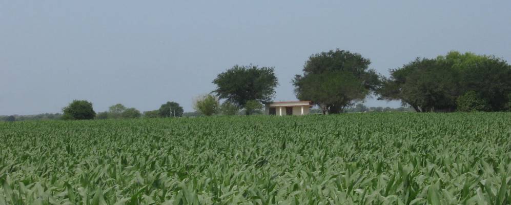 
            Фотография Гарсено