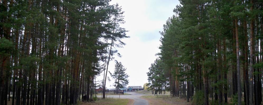 
            Фотография Победы