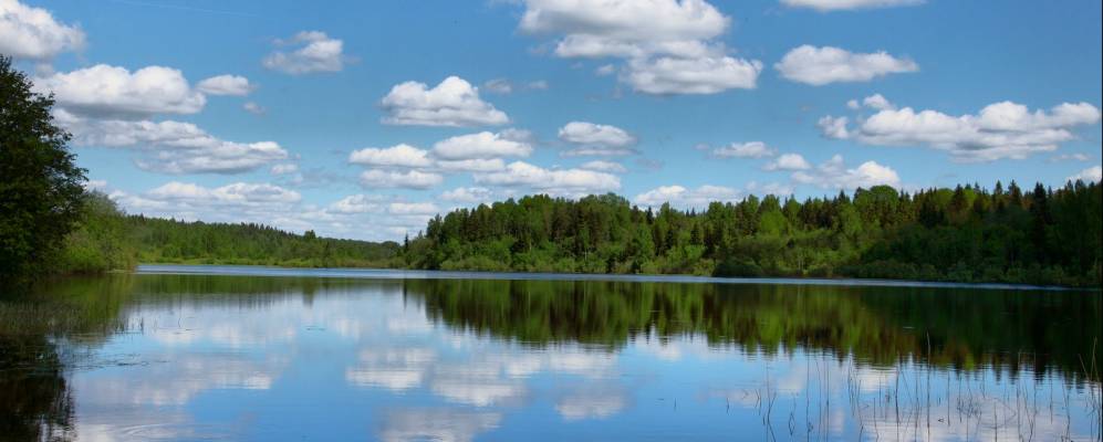 
            Фотография Молчино