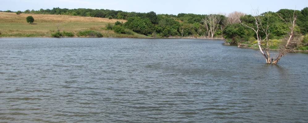 
            Фотография Тимирязево