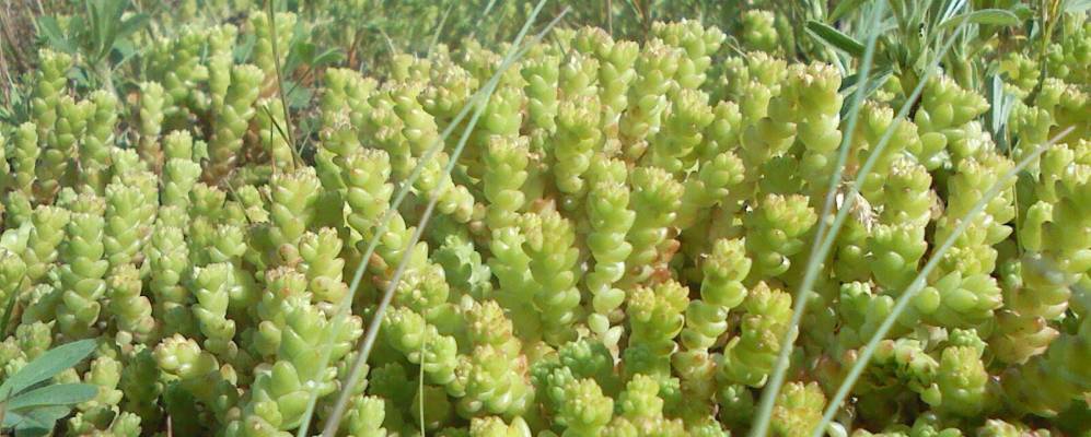 
            Фотография Кургана