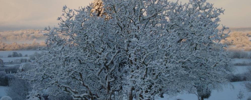 
            Фотография Илминстера