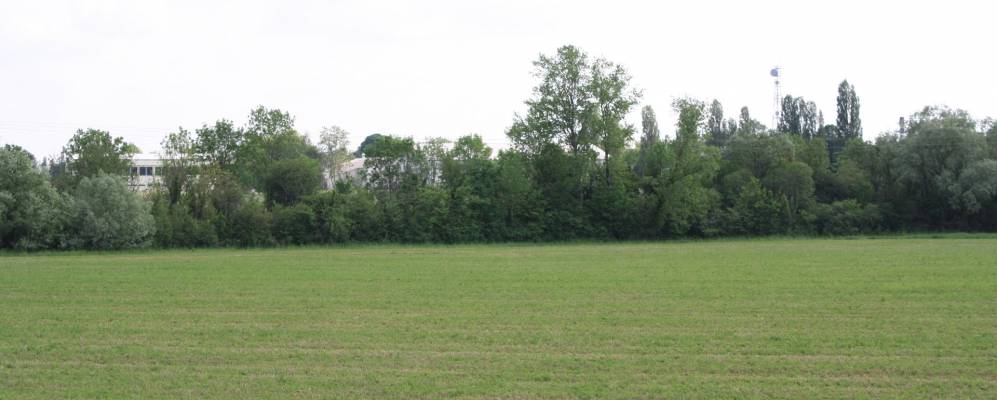 
            Фотография Монтьершома