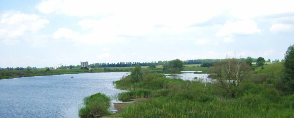 Фотография Рясно