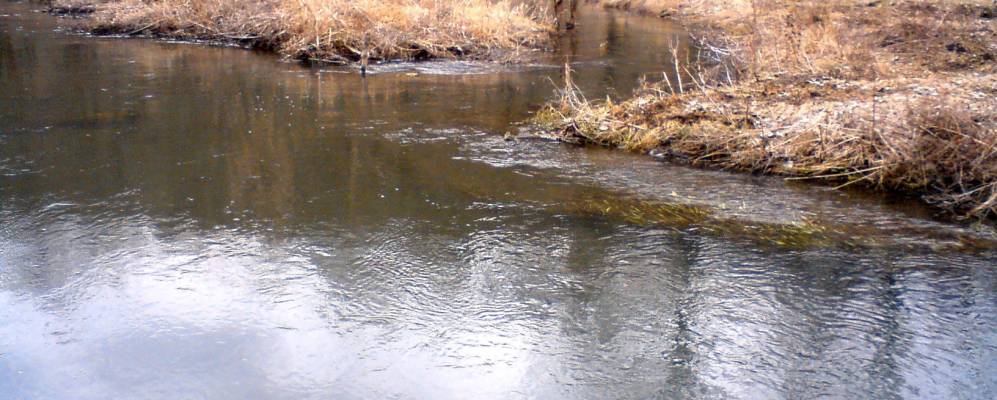 
            Фотография Княгиневки
