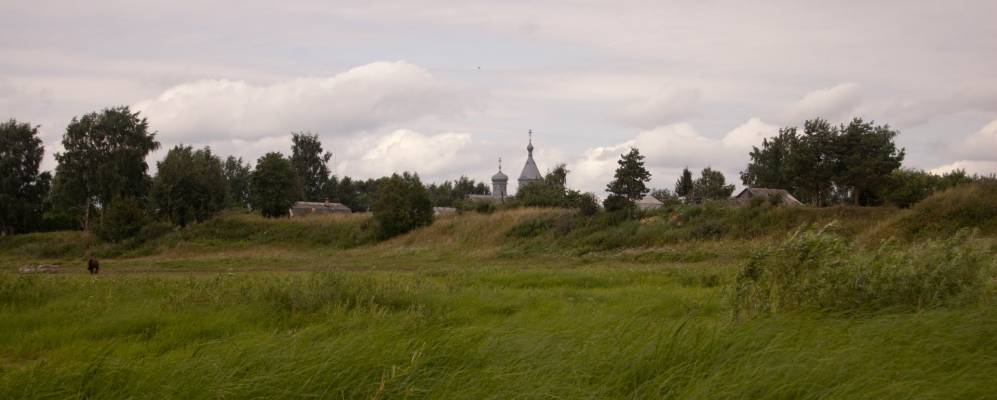 
            Фотография Курицко