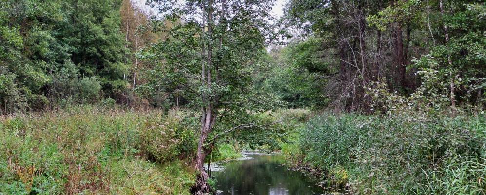 Фотография деревни Швары