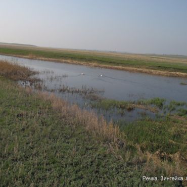 Браиловский