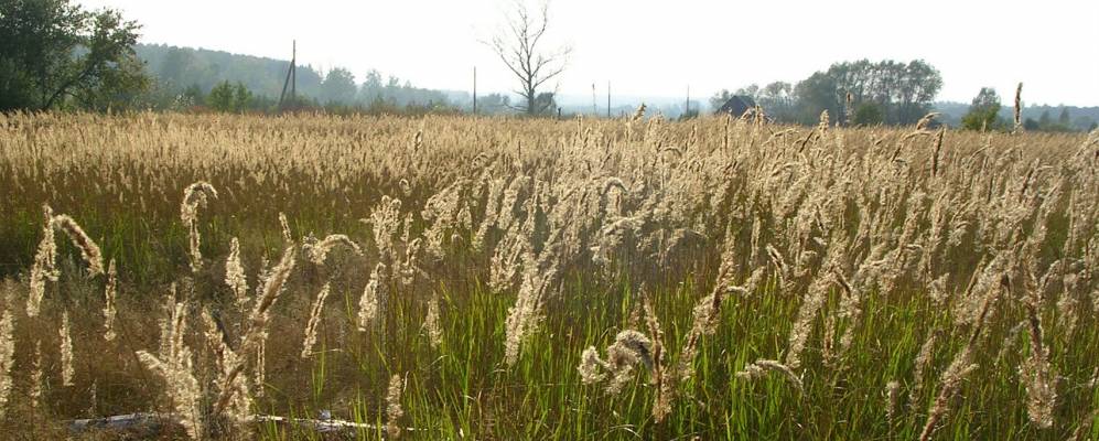 
            Фотография Муняковских Выселок