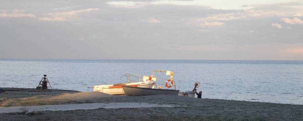 
            Фотография Бьянко