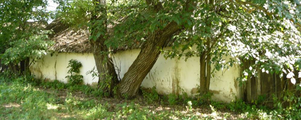 
            Фотография села Вышние Пены