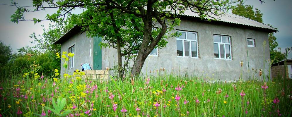 
            Фотография Вандама