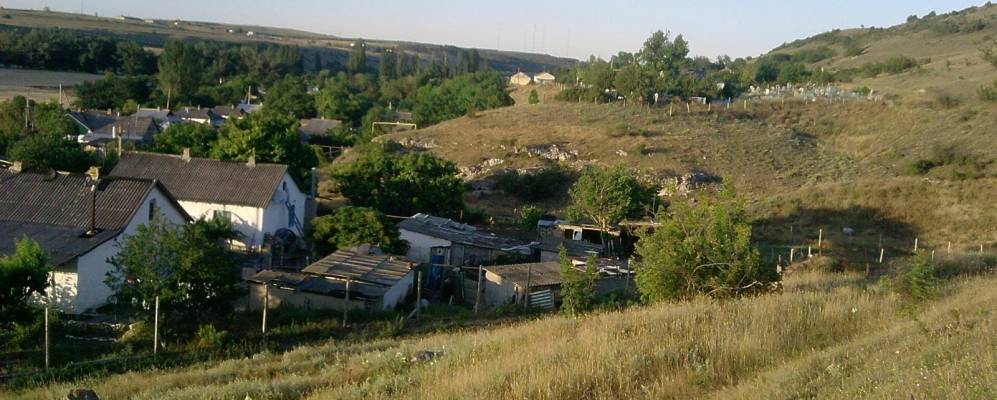 
            Фотография Брянского