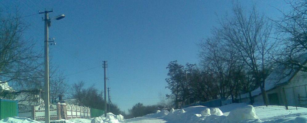 
            Фотография Репки