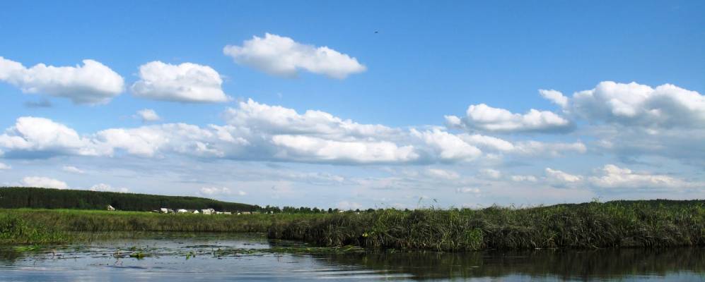 
            Фотография Острова