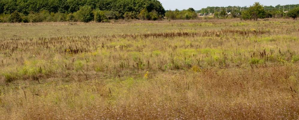 
            Фотография Натухая