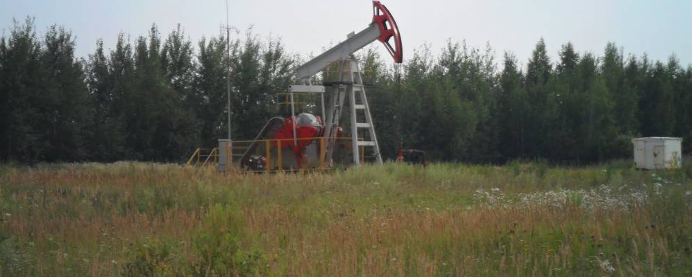 Фотография Старого Барсука